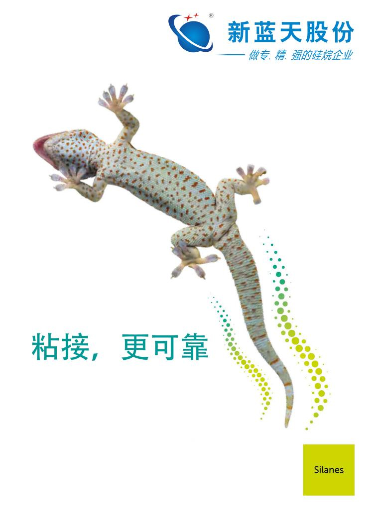 展會邀請函┃新藍天誠邀您共赴2024國際涂料展